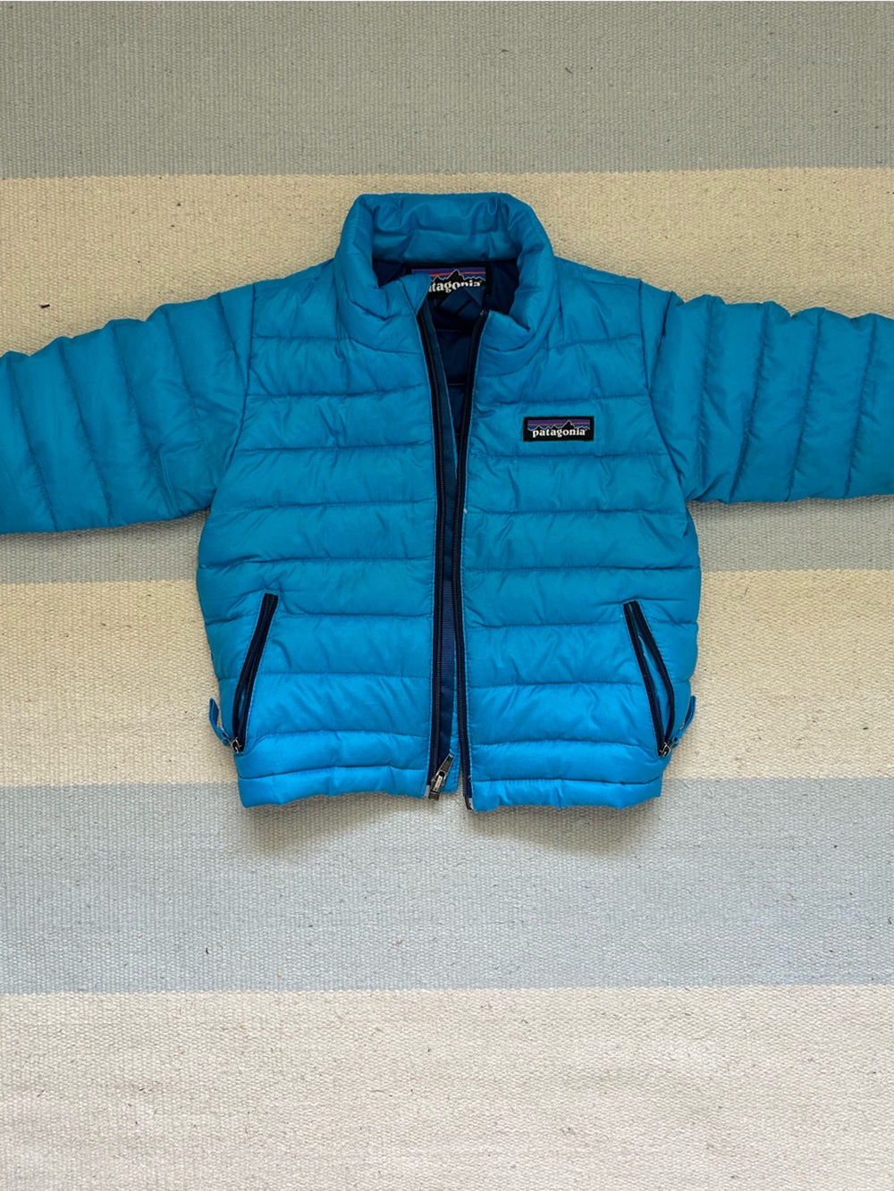 Patagonia Down Sweater